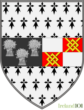 Coat of arms County Kilkenny
