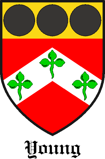 YOUNG family crest